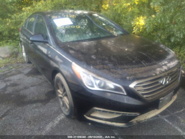 HYUNDAI SONATA 2015 5npe24af5fh256415