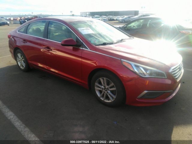 HYUNDAI SONATA 2016 5npe24af5gh262166