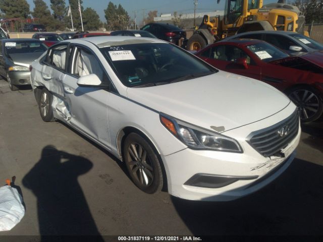 HYUNDAI SONATA 2016 5npe24af5gh269084