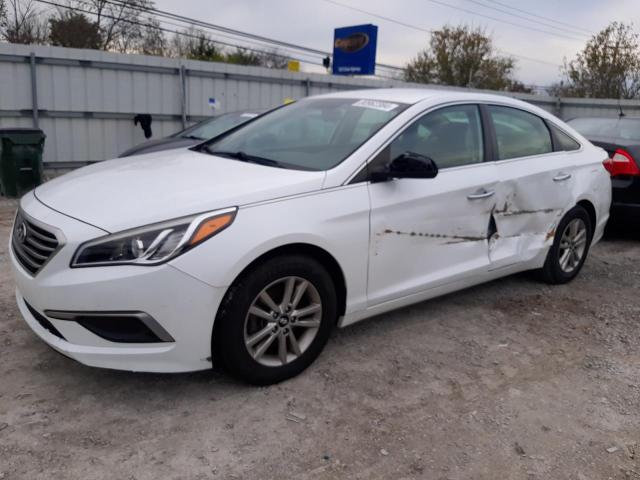 HYUNDAI SONATA SE 2016 5npe24af5gh273913