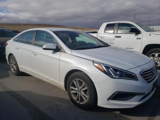 HYUNDAI SONATA SE 2016 5npe24af5gh279100