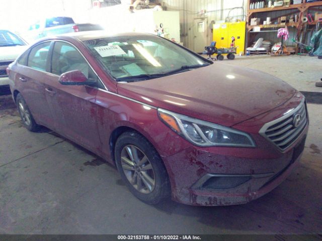 HYUNDAI SONATA 2016 5npe24af5gh281848