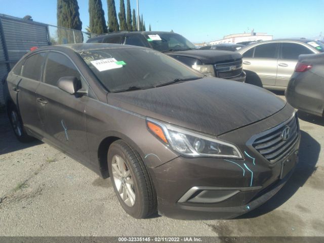 HYUNDAI SONATA 2016 5npe24af5gh282689