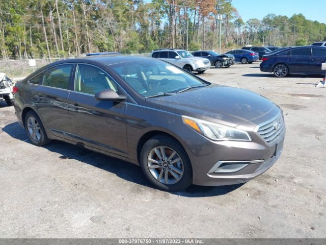 HYUNDAI SONATA 2016 5npe24af5gh284250