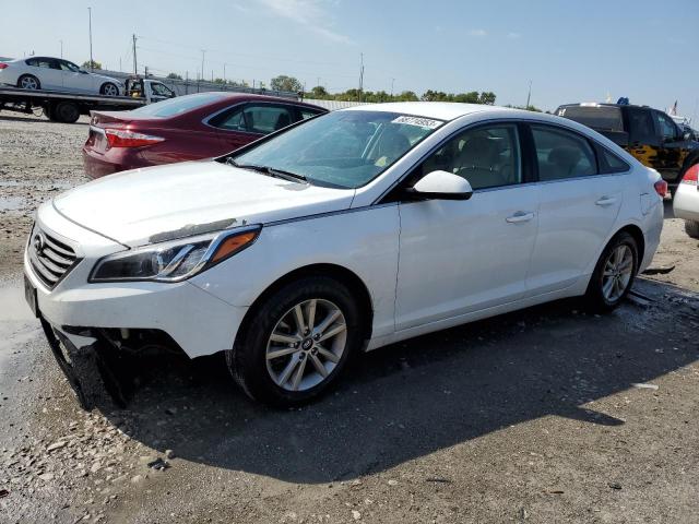 HYUNDAI SONATA SE 2016 5npe24af5gh285477