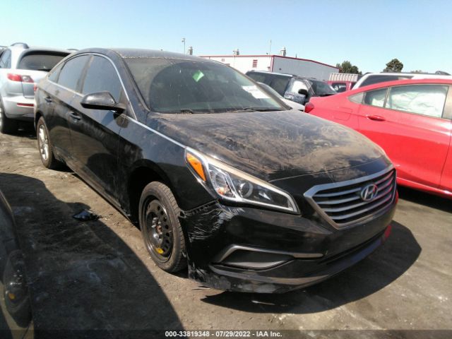 HYUNDAI SONATA 2016 5npe24af5gh285706