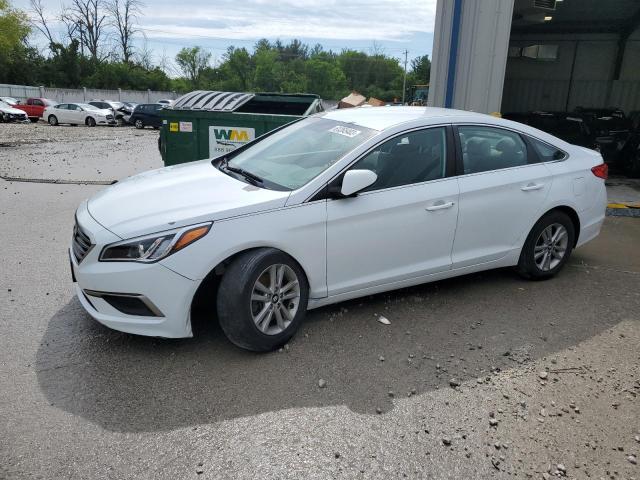 HYUNDAI SONATA SE 2016 5npe24af5gh289416