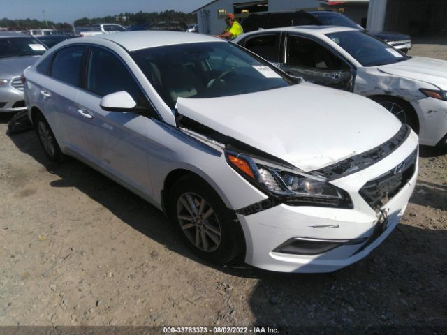 HYUNDAI SONATA 2016 5npe24af5gh291845