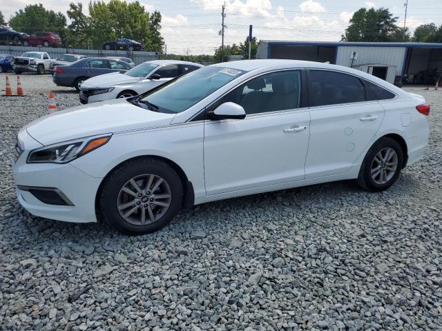 HYUNDAI SONATA SE 2016 5npe24af5gh295233