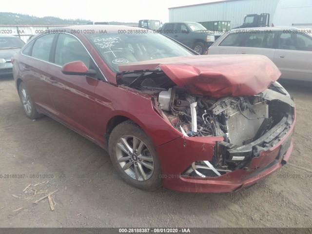 HYUNDAI SONATA 2016 5npe24af5gh296396