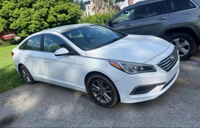 HYUNDAI SONATA 2016 5npe24af5gh296575