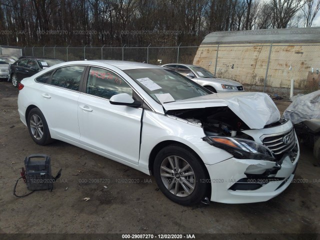 HYUNDAI SONATA 2016 5npe24af5gh298326