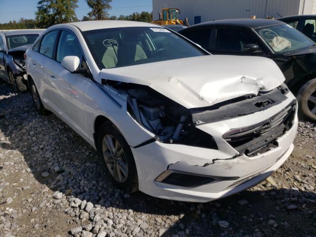 HYUNDAI SONATA SE 2016 5npe24af5gh299069