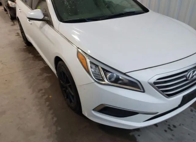 HYUNDAI SONATA 2016 5npe24af5gh300351