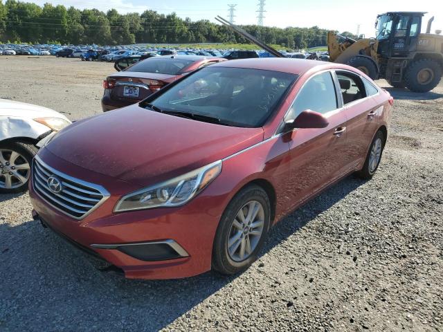 HYUNDAI SONATA SE 2016 5npe24af5gh301158