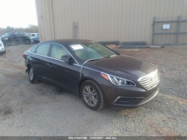 HYUNDAI SONATA 2016 5npe24af5gh303296