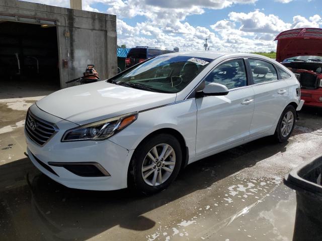 HYUNDAI SONATA SE 2016 5npe24af5gh304030