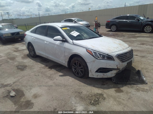 HYUNDAI SONATA 2016 5npe24af5gh309972