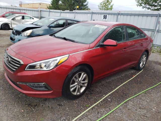 HYUNDAI SONATA 2016 5npe24af5gh311804