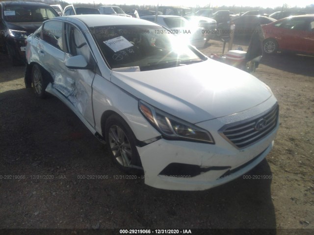 HYUNDAI SONATA 2016 5npe24af5gh313438