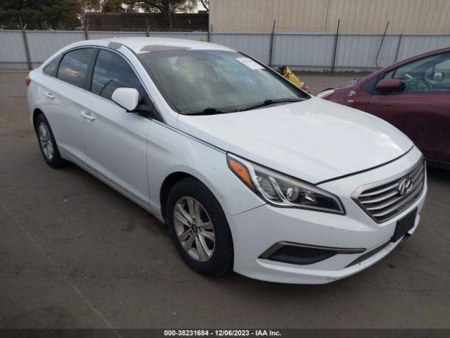 HYUNDAI SONATA 2016 5npe24af5gh316968