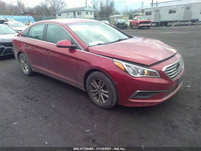 HYUNDAI SONATA 2016 5npe24af5gh318252