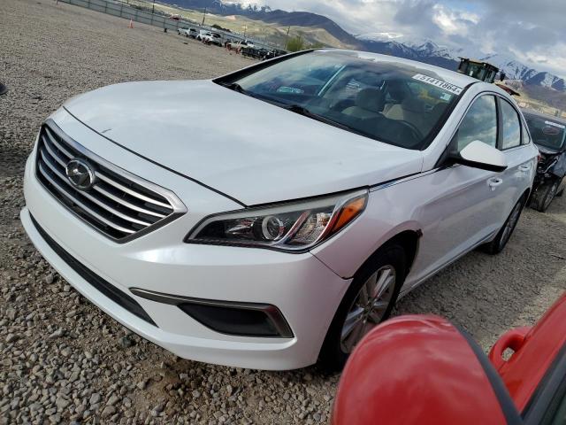 HYUNDAI SONATA 2016 5npe24af5gh319983