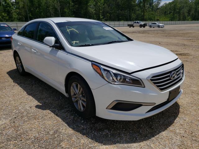 HYUNDAI SONATA SE 2016 5npe24af5gh323550