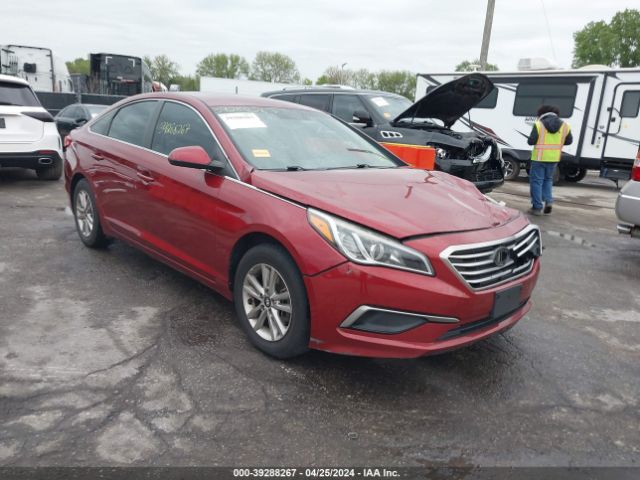 HYUNDAI SONATA 2016 5npe24af5gh324293