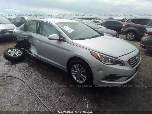 HYUNDAI SONATA 2016 5npe24af5gh325931