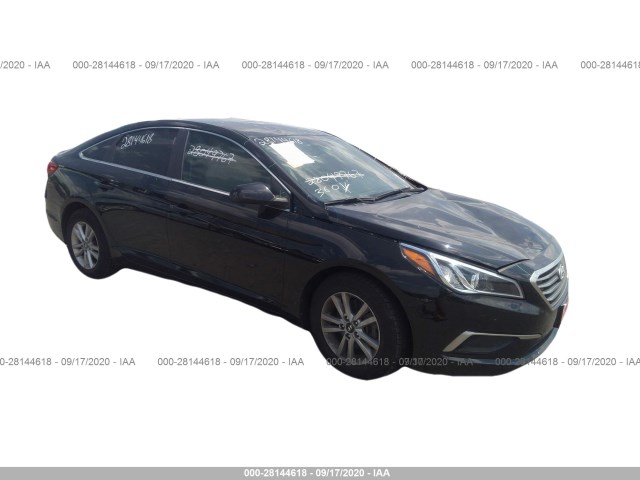 HYUNDAI SONATA 2016 5npe24af5gh331325