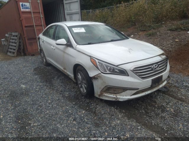 HYUNDAI SONATA 2016 5npe24af5gh332040