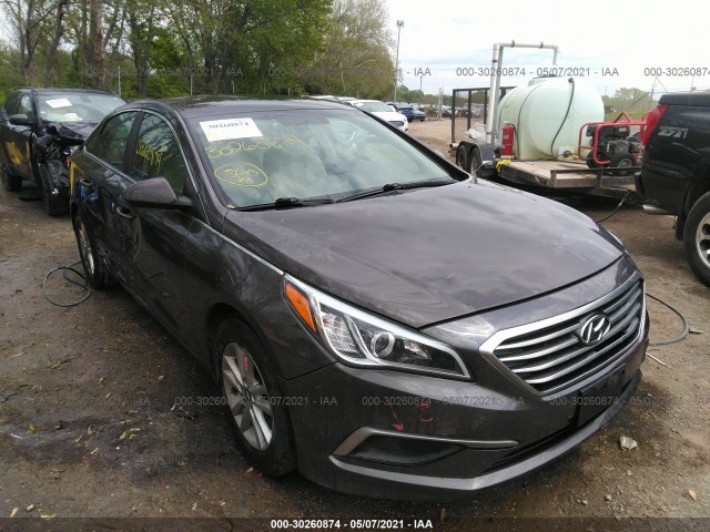 HYUNDAI SONATA 2016 5npe24af5gh332264