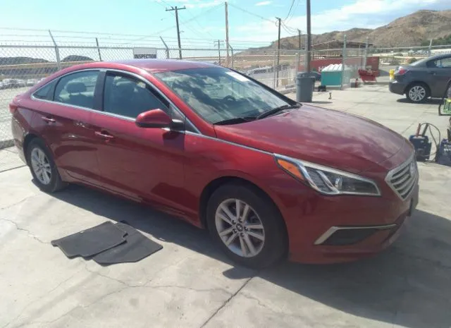 HYUNDAI SONATA 2016 5npe24af5gh334029