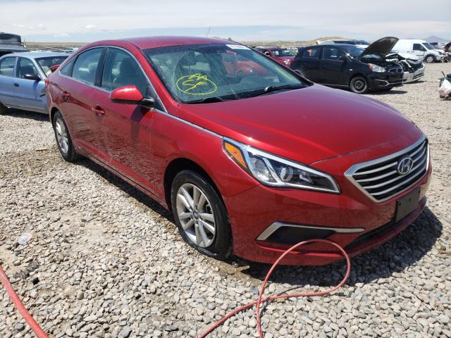 HYUNDAI SONATA SE 2016 5npe24af5gh336931