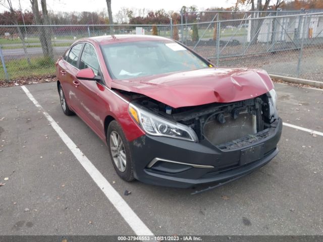 HYUNDAI SONATA 2016 5npe24af5gh339294