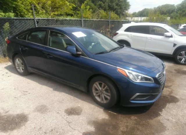 HYUNDAI SONATA 2016 5npe24af5gh339568