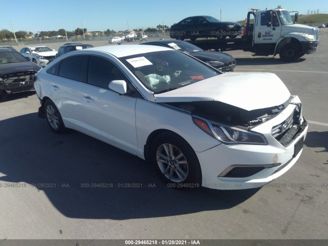 HYUNDAI SONATA 2016 5npe24af5gh341496