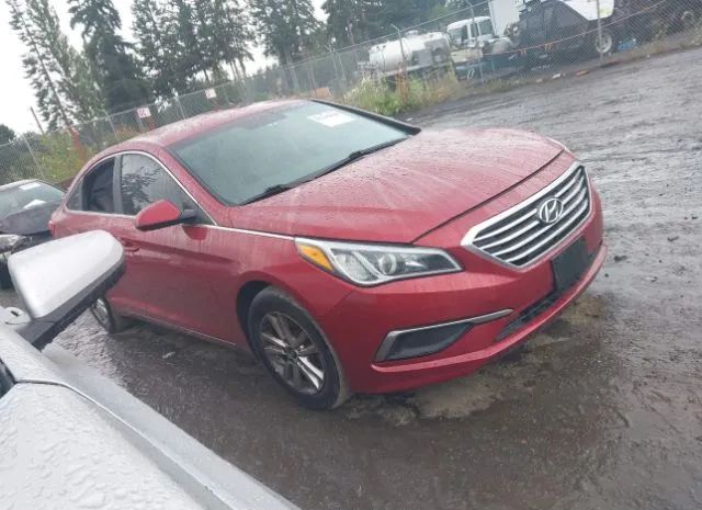 HYUNDAI SONATA 2016 5npe24af5gh345340