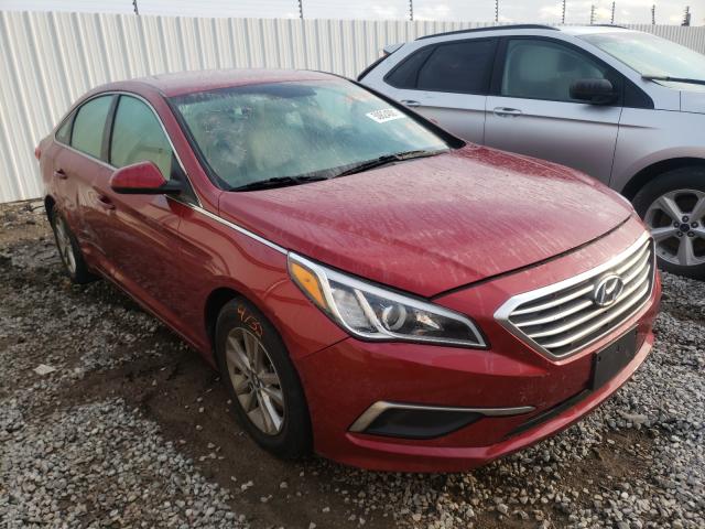 HYUNDAI SONATA SE 2016 5npe24af5gh346746