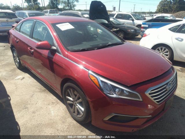 HYUNDAI SONATA 2016 5npe24af5gh348304