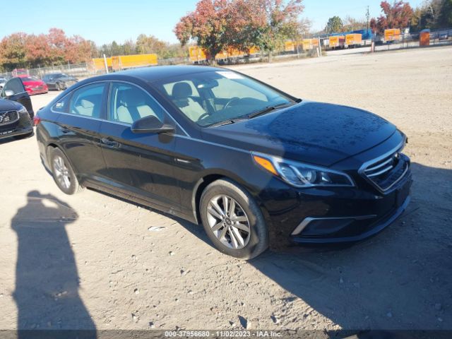 HYUNDAI SONATA 2016 5npe24af5gh355222