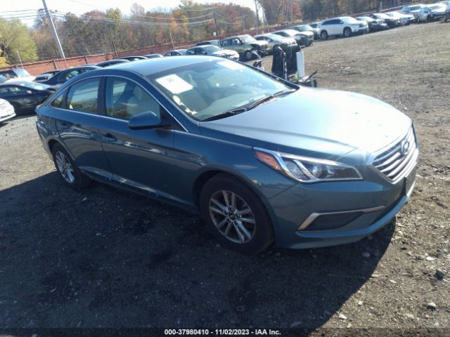 HYUNDAI SONATA 2016 5npe24af5gh356676