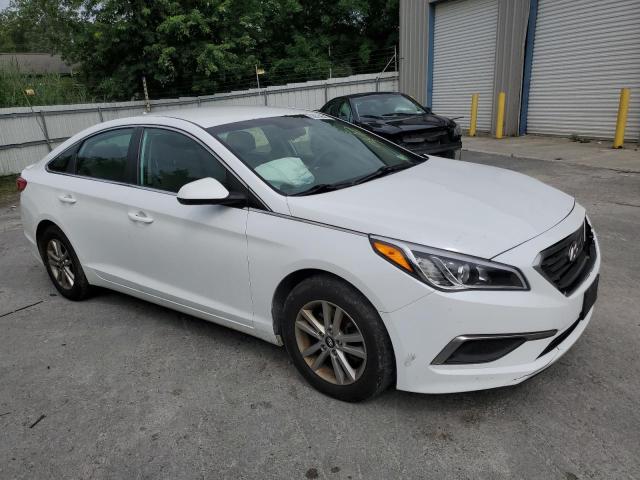 HYUNDAI SONATA SE 2016 5npe24af5gh357598