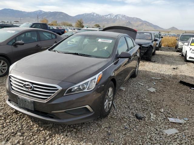 HYUNDAI SONATA 2016 5npe24af5gh360503