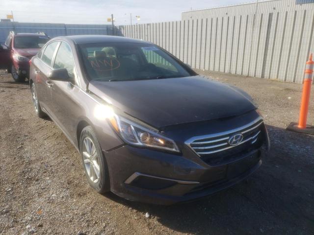 HYUNDAI SONATA SE 2016 5npe24af5gh372764