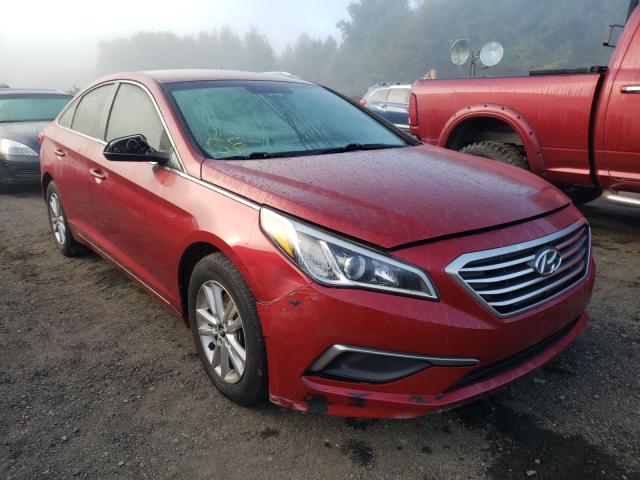 HYUNDAI SONATA SE 2016 5npe24af5gh375809