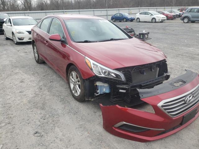 HYUNDAI SONATA SE 2016 5npe24af5gh383540