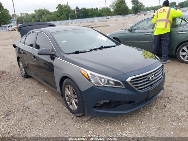 HYUNDAI SONATA 2016 5npe24af5gh383618