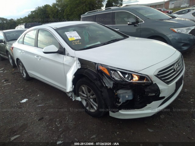 HYUNDAI SONATA 2016 5npe24af5gh384462